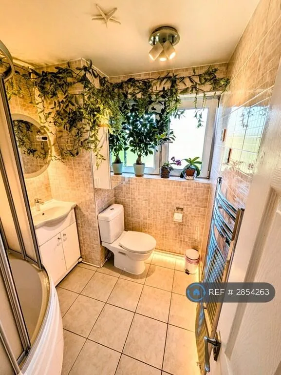 1 bedroom flat share for rent