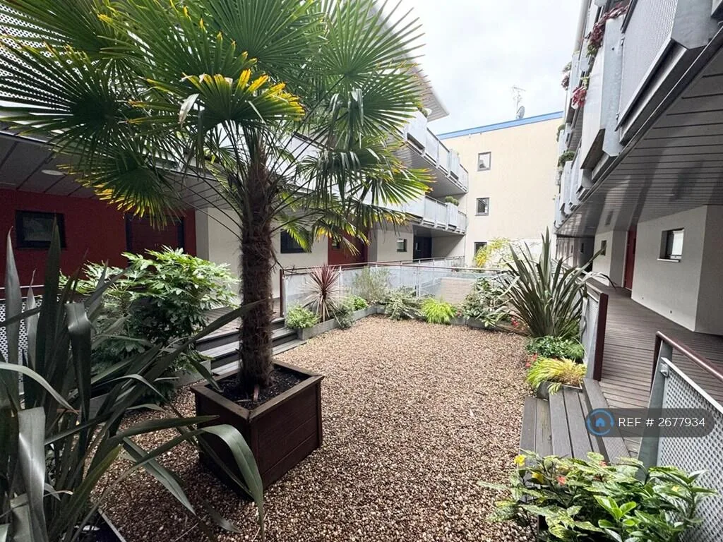 2 bedroom penthouse for rent