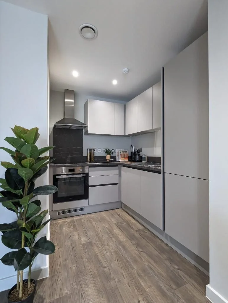 1 bedroom apartment for rent