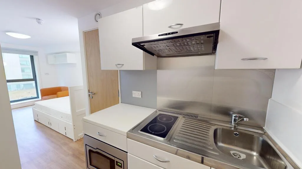 Studio flat for rent