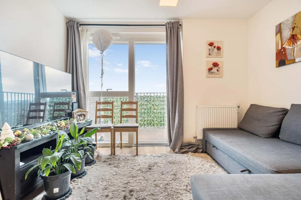 1 bedroom flat for rent