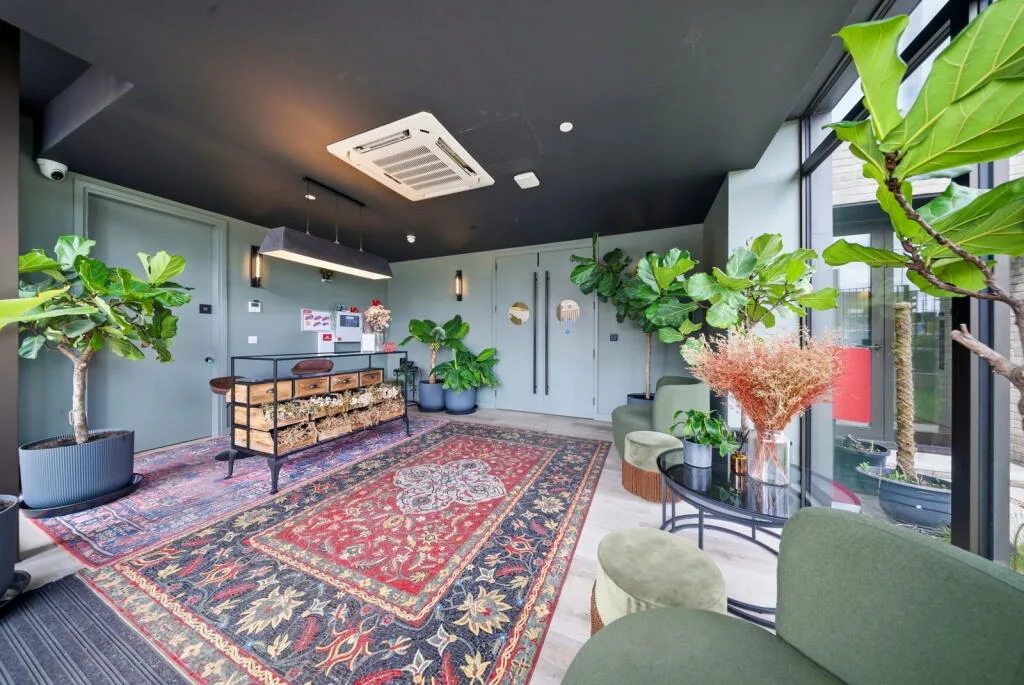 Studio flat for rent