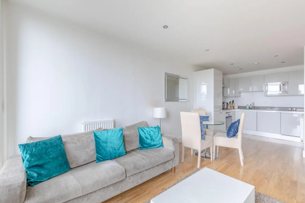 1 bedroom apartment for rent