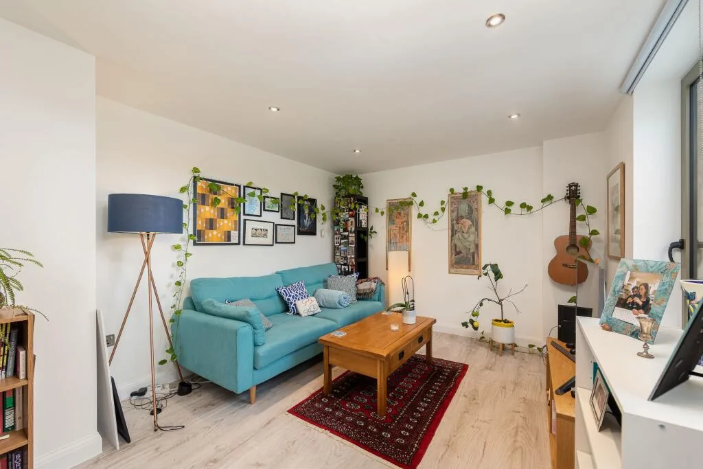 1 bedroom apartment for rent