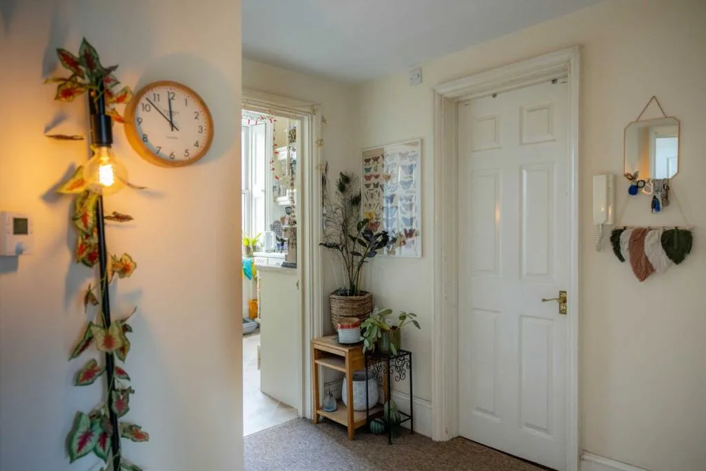 1 bedroom apartment for rent