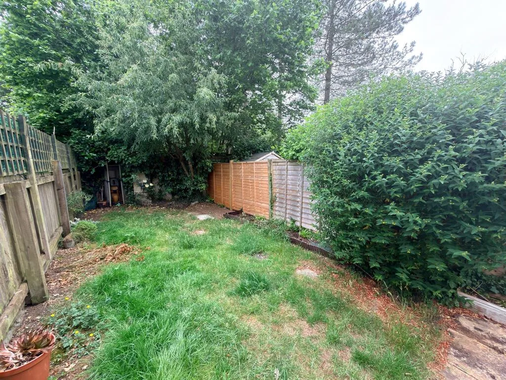 2 bedroom house for rent