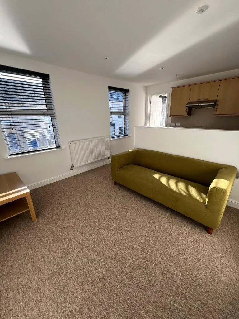 1 bedroom apartment for rent