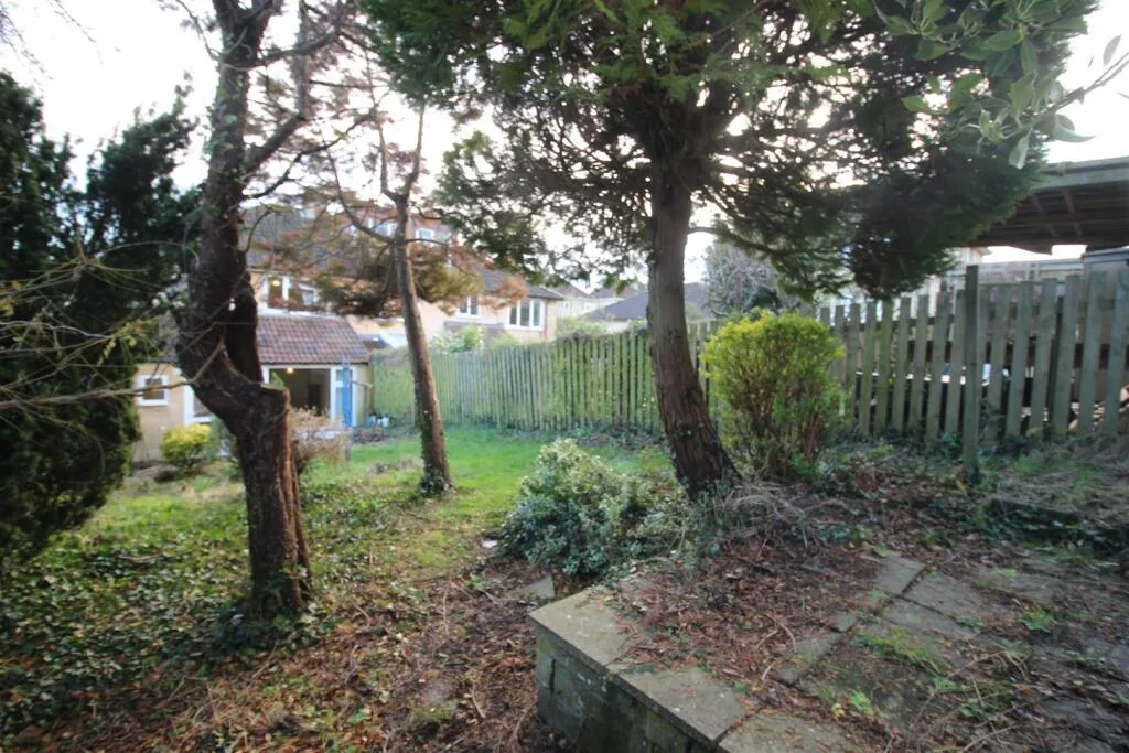 3 bedroom house for rent