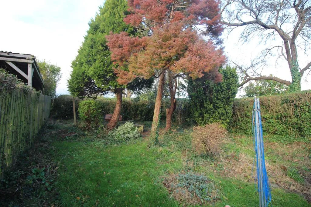3 bedroom house for rent