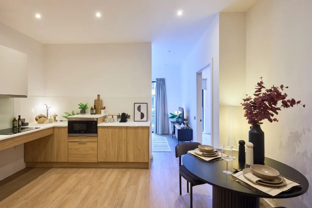 1 bedroom apartment for rent