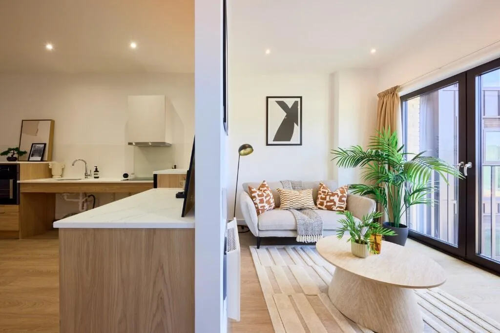 1 bedroom apartment for rent