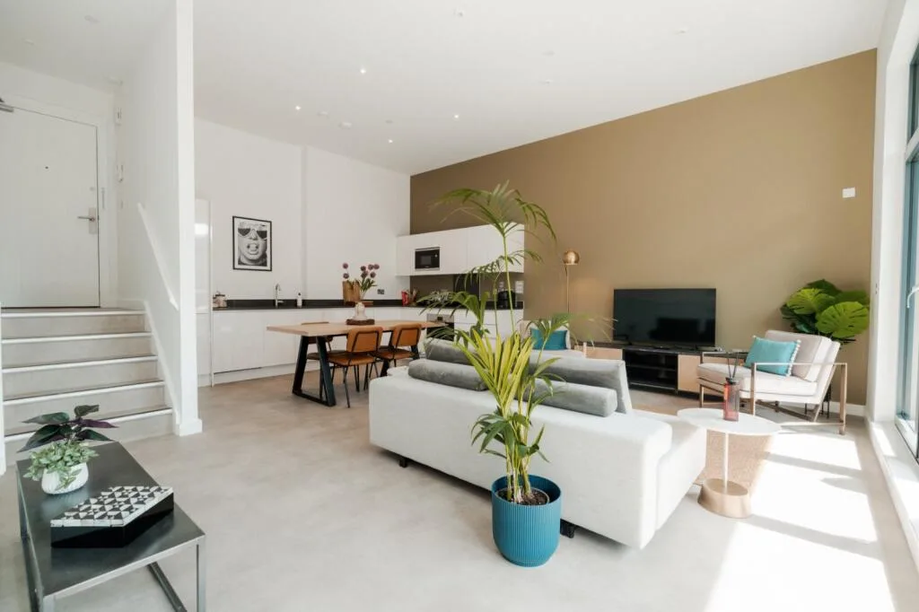1 bedroom flat for rent