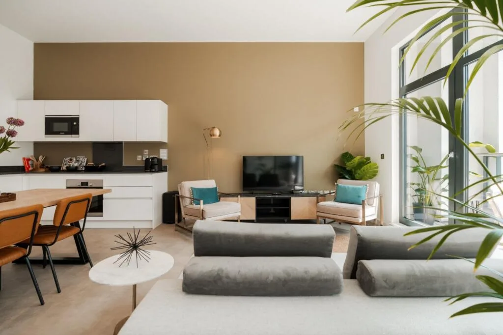 1 bedroom flat for rent