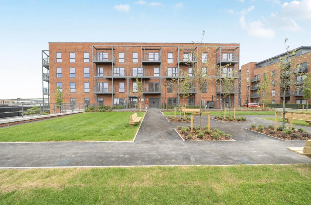1 bedroom flat for rent
