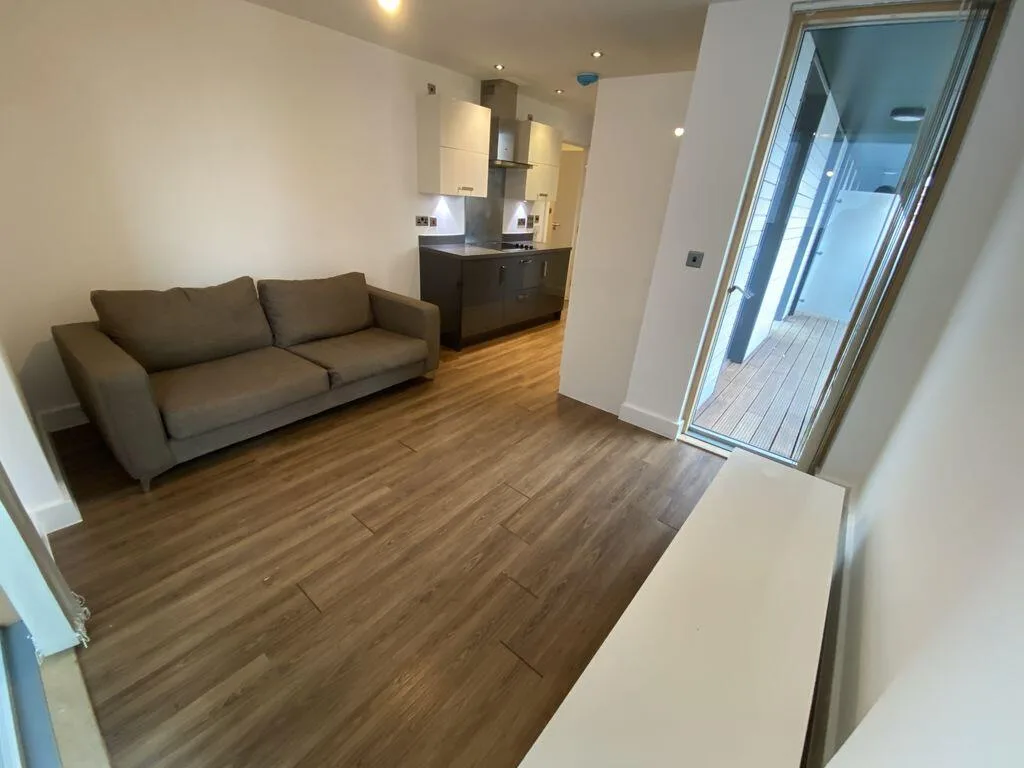 1 bedroom apartment for rent
