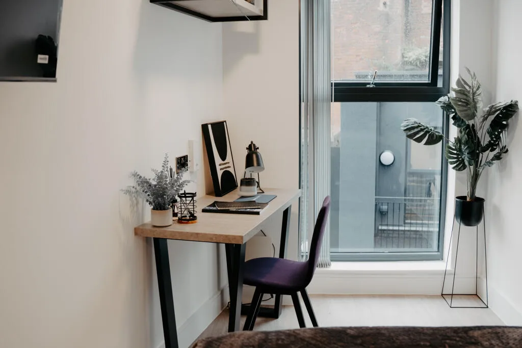 Studio flat for rent