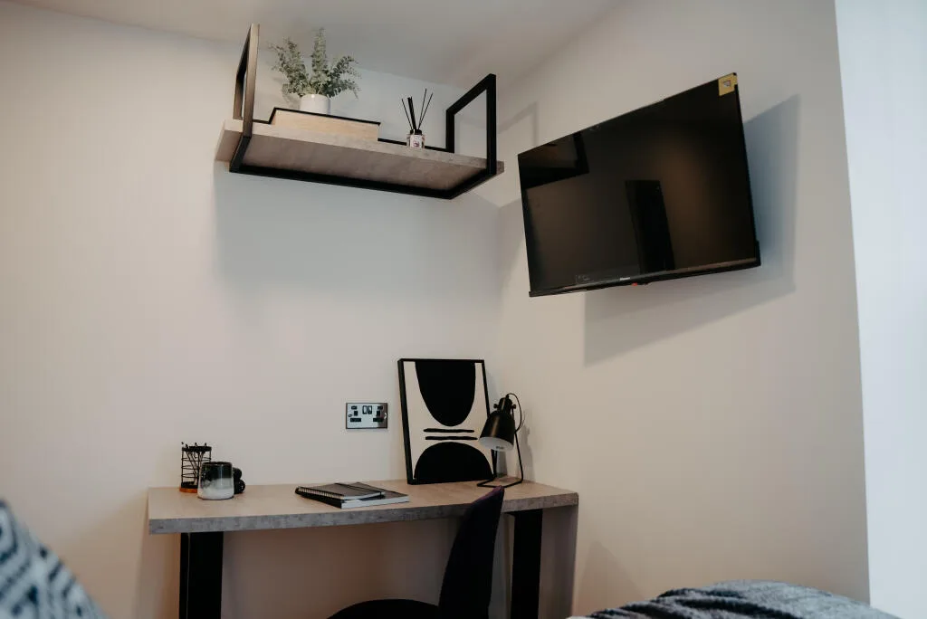 Studio apartment for rent