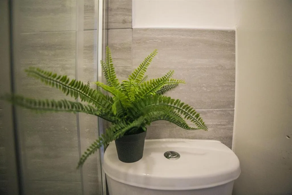 1 bedroom house share for rent