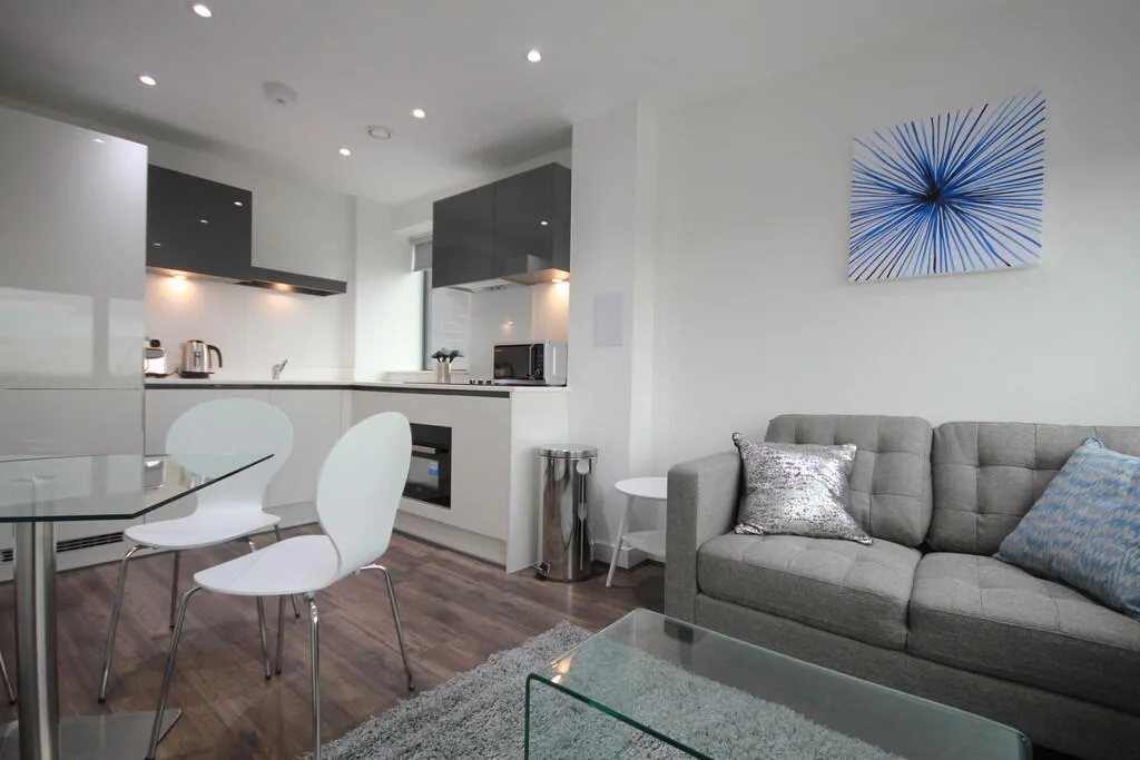 1 bedroom penthouse for rent