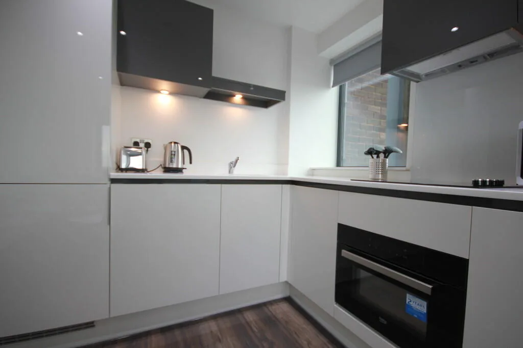 1 bedroom penthouse for rent
