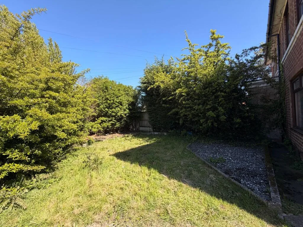 3 bedroom house for rent