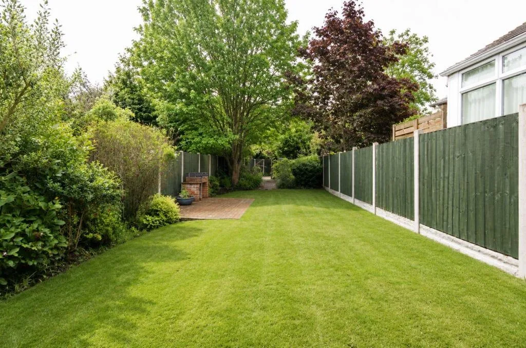 3 bedroom house for rent