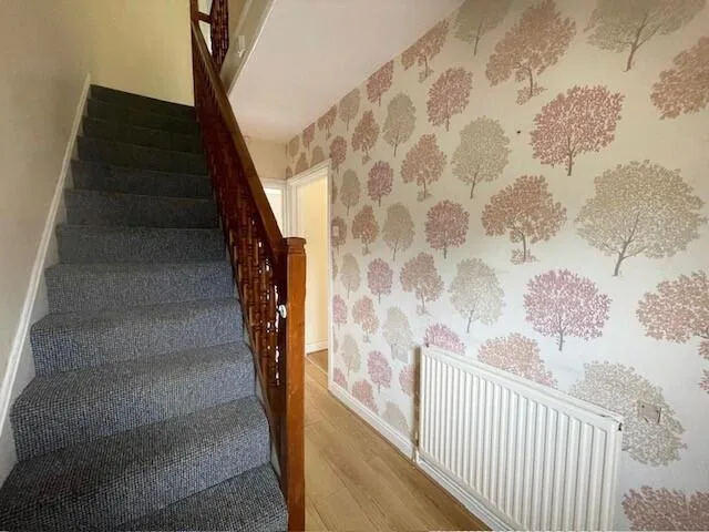 3 bedroom house for rent