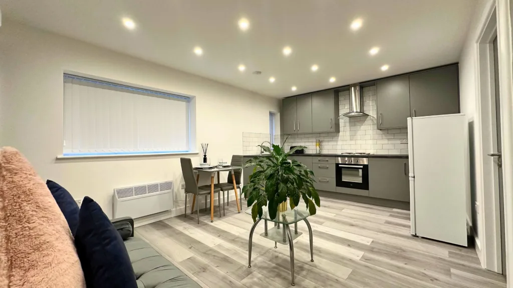 1 bedroom flat for rent