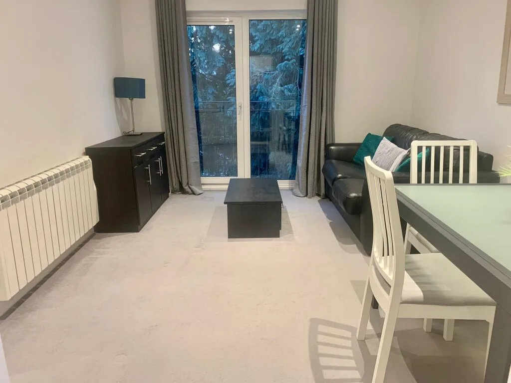 1 bedroom apartment for rent