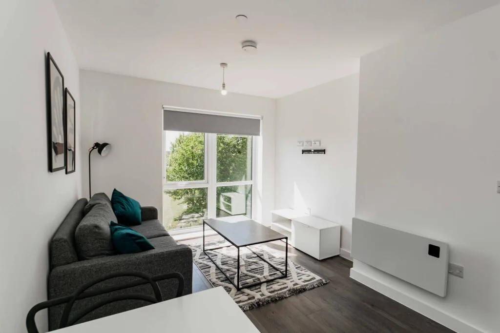 1 bedroom apartment for rent