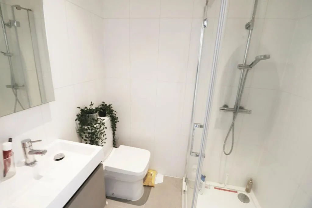 1 bedroom flat share for rent