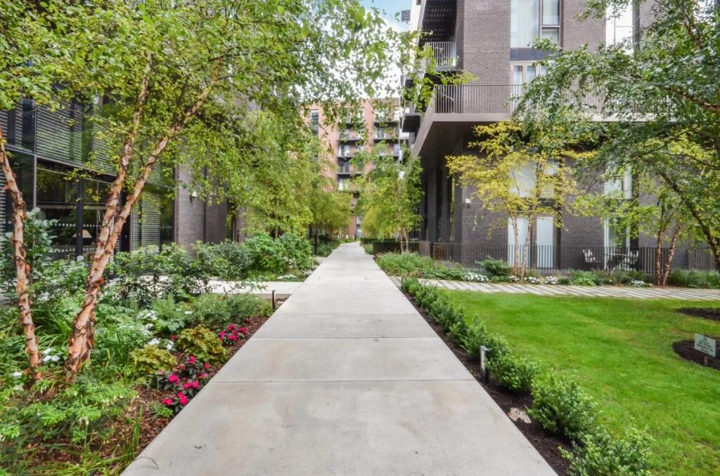 1 bedroom apartment for rent