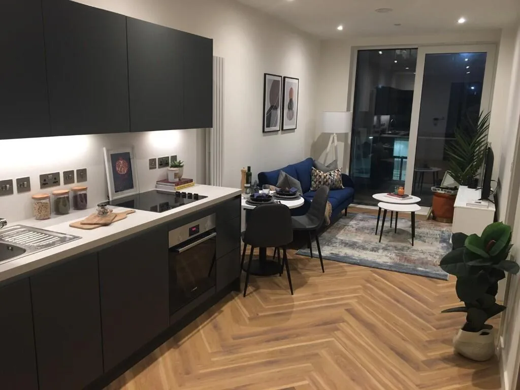 1 bedroom apartment for rent