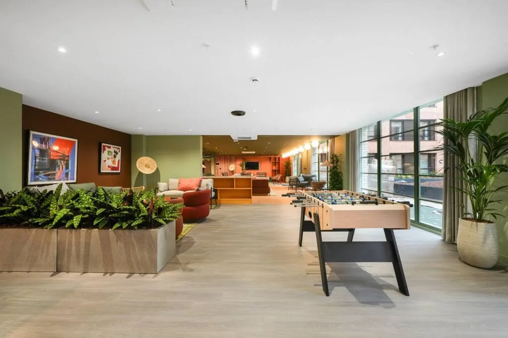 2 bedroom apartment for rent