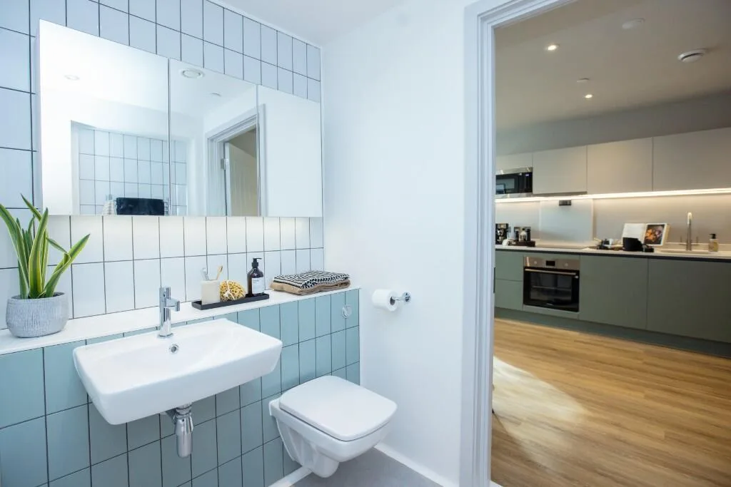 1 bedroom apartment for rent
