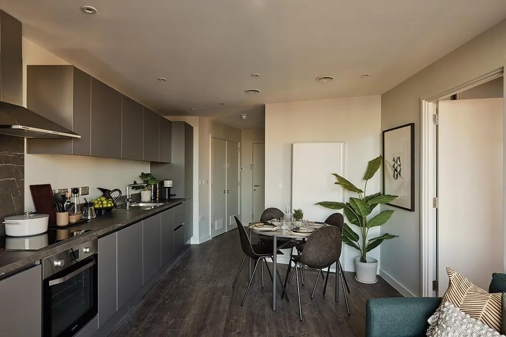 1 bedroom apartment for rent