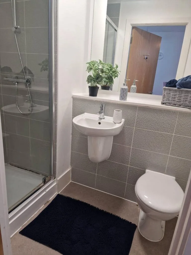 Studio flat for rent