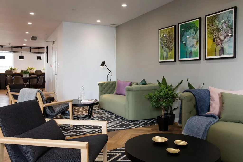 1 bedroom apartment for rent