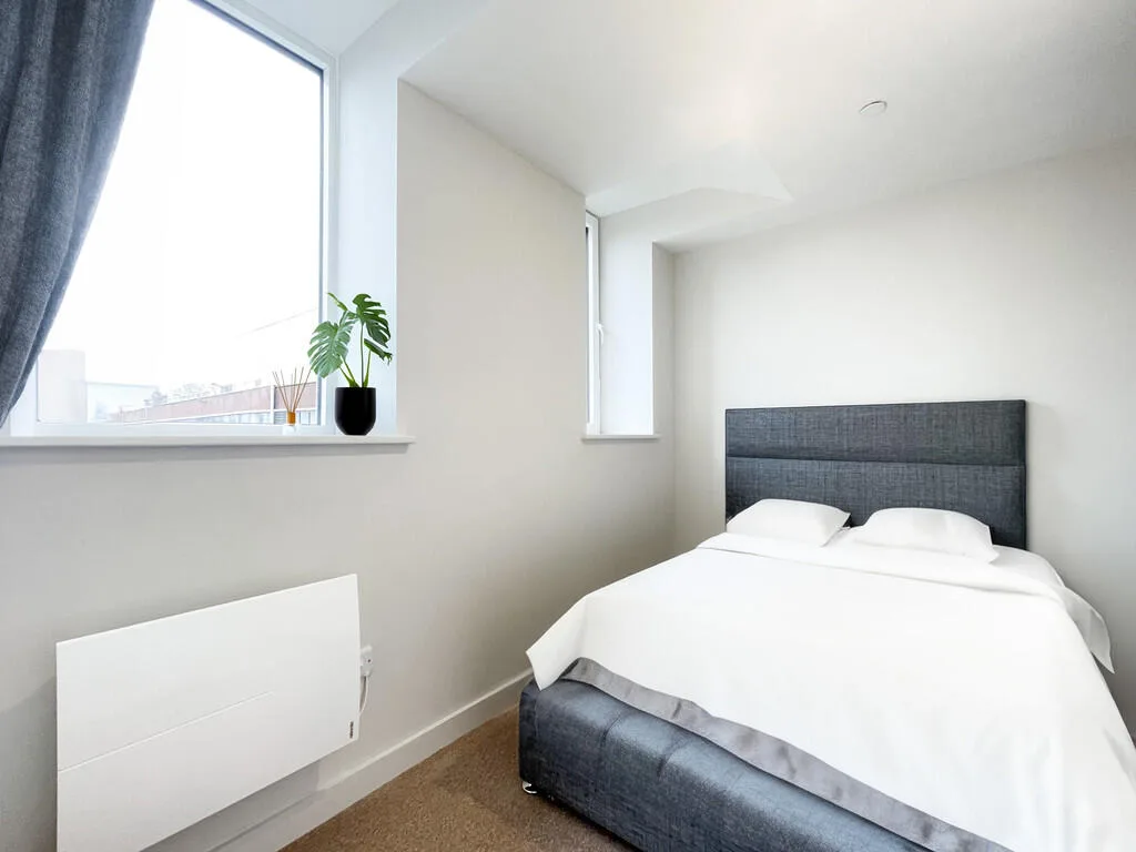 2 bedroom apartment for rent