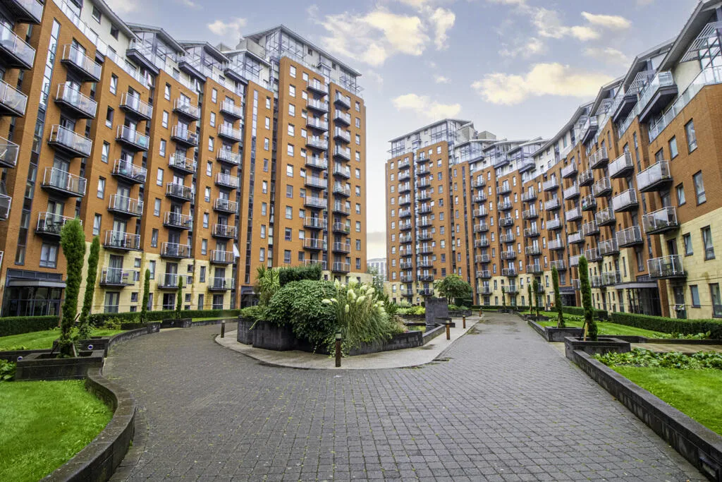 2 bedroom flat for rent