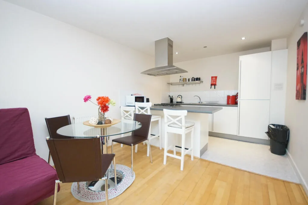 1 bedroom apartment for rent