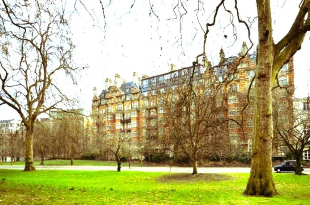 4 bedroom apartment for rent