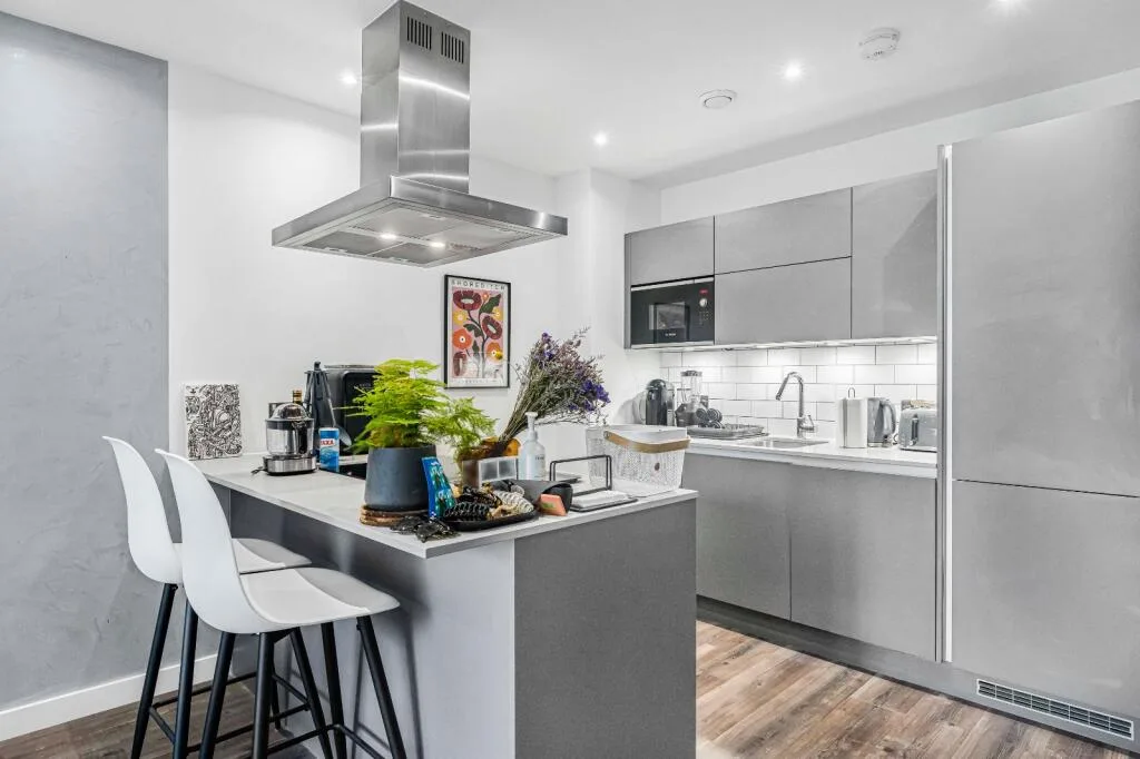 1 bedroom apartment for rent