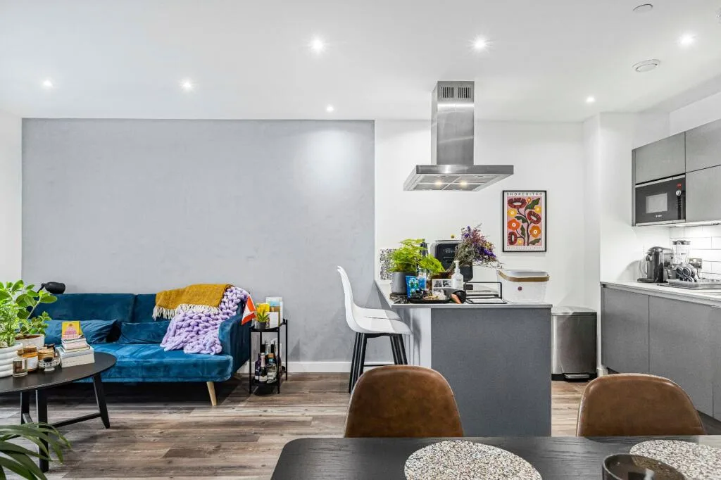 1 bedroom apartment for rent