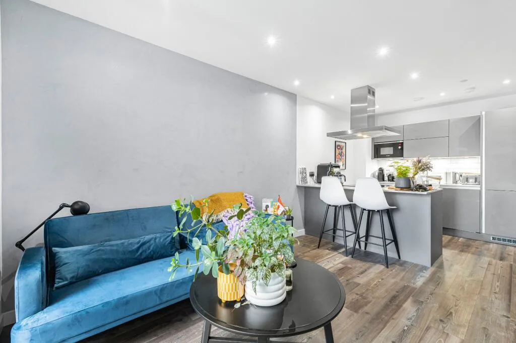 1 bedroom apartment for rent