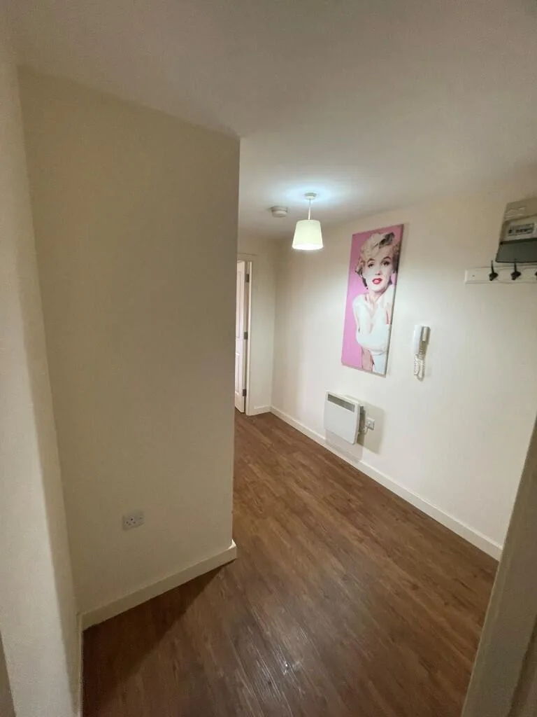 1 bedroom apartment for rent