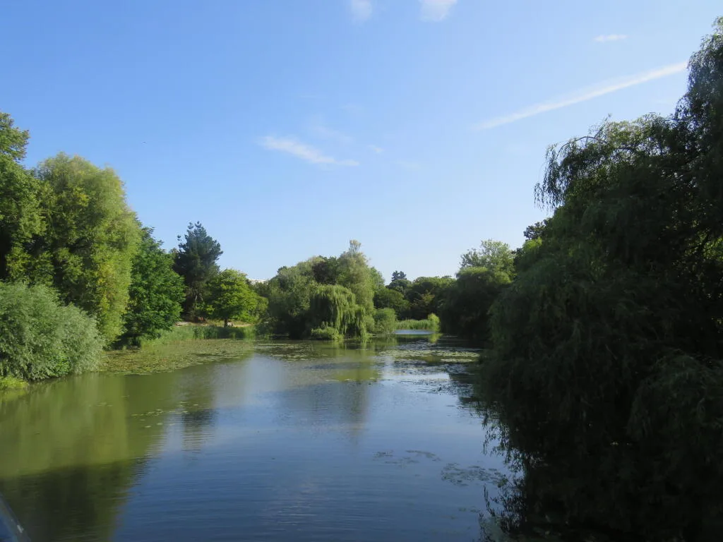 1 bedroom house share for rent