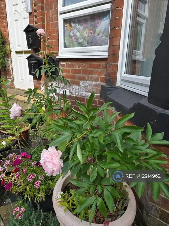 4 bedroom flat for rent