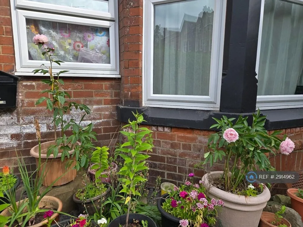 4 bedroom flat for rent
