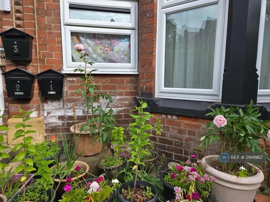 4 bedroom flat for rent